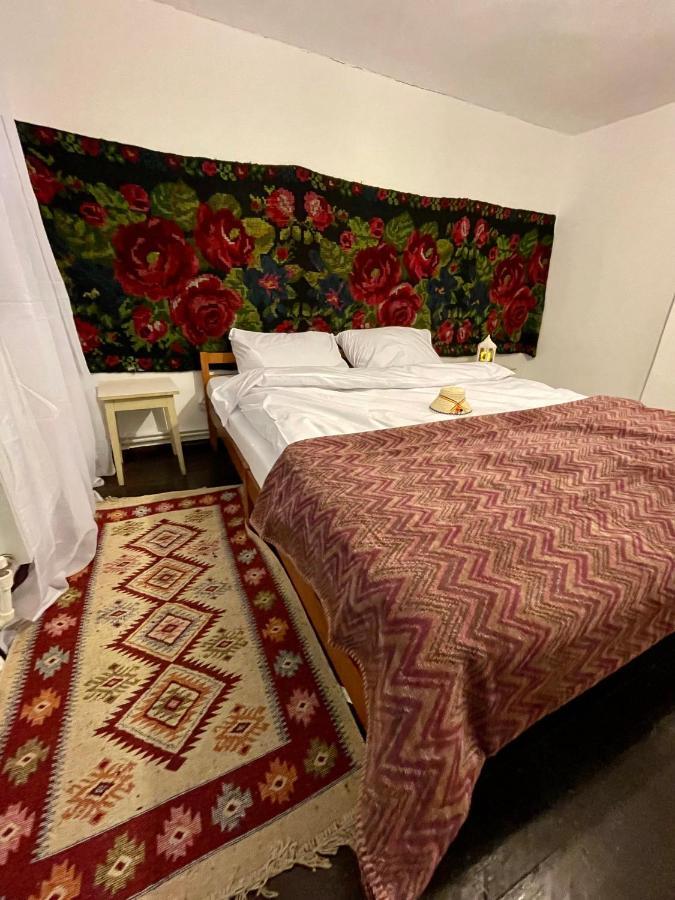 فيلا Casa Fantana - La Poalele Muntilor -50 De Metri De Partia Olimpica Statiunea المظهر الخارجي الصورة